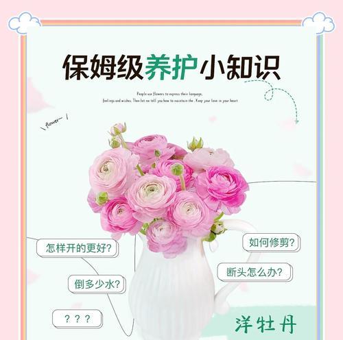 带桩牡丹花养护有哪些注意事项？