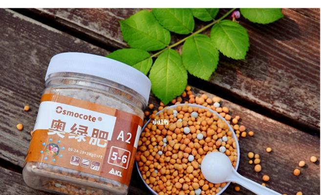 仙人球适合哪种肥料？施肥时应注意什么？
