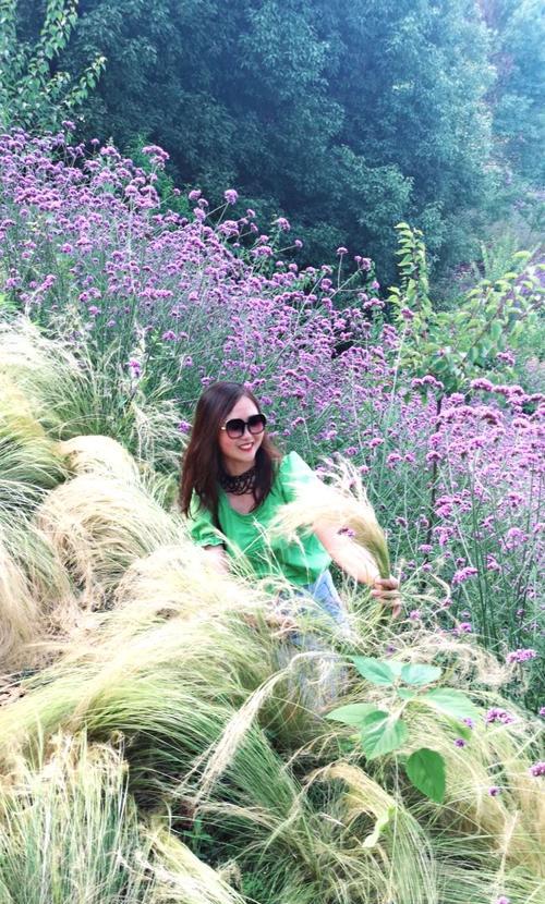 徒步时如何保持玫瑰花新鲜？