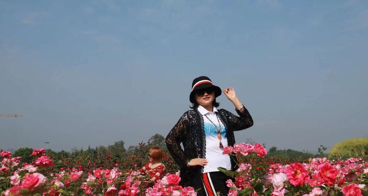 徒步时如何保持玫瑰花新鲜？