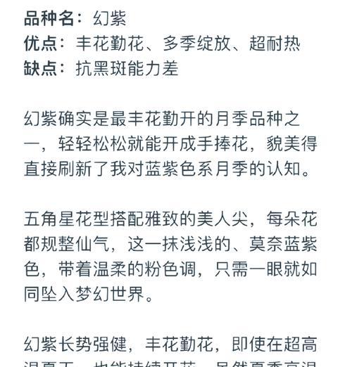 黑斑玫瑰花专用肥料是什么？如何正确使用？