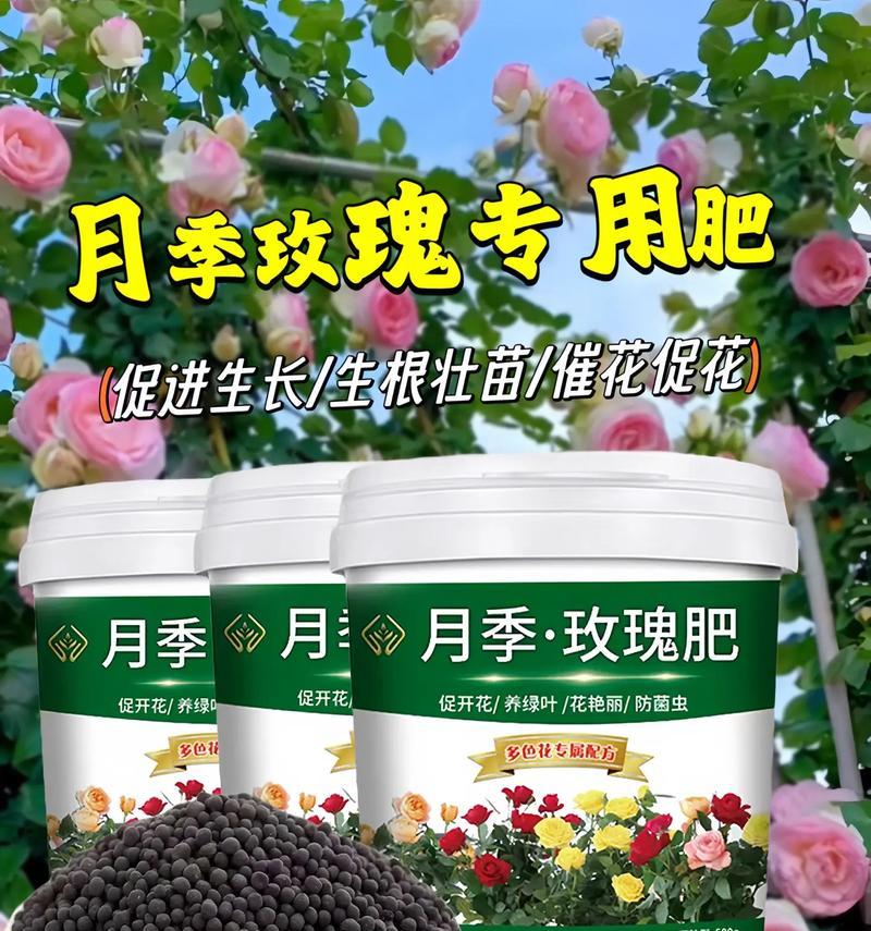 黑斑玫瑰花专用肥料是什么？如何正确使用？