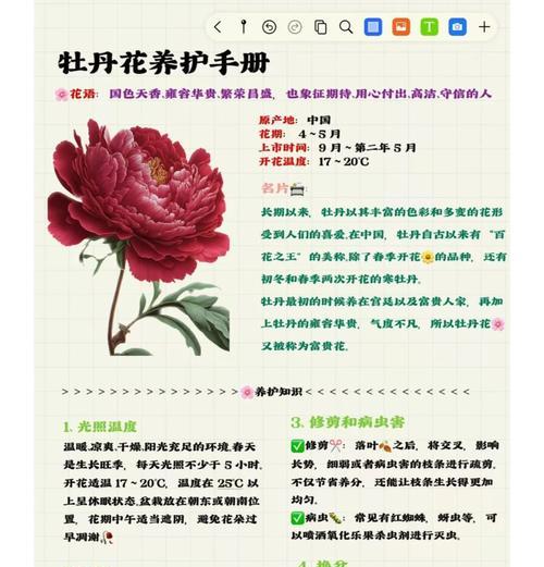 牡丹花出现干叶子怎么办？预防和处理的方法有哪些？