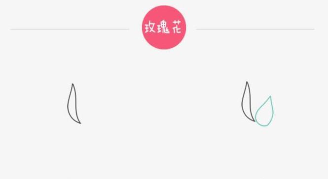 玫瑰花瓣的花怎么剪掉？剪玫瑰花瓣时应注意什么？