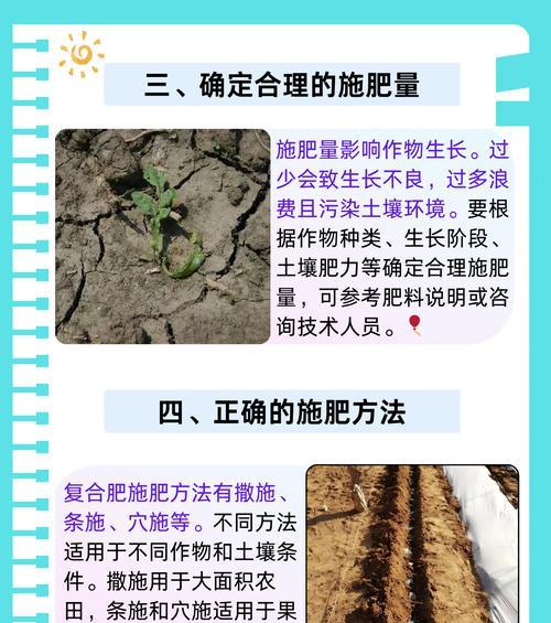 黄叶玫瑰花专用肥料的正确使用方法？