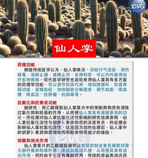 青山仙人掌盆栽的养护与管理要点是什么？