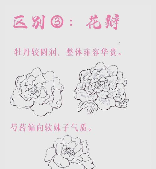 牡丹花和芍药花苞干枯是什么原因？如何解决？