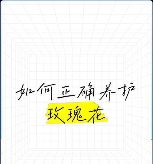 玫瑰花催苗芽怎么养护？如何提高成活率？