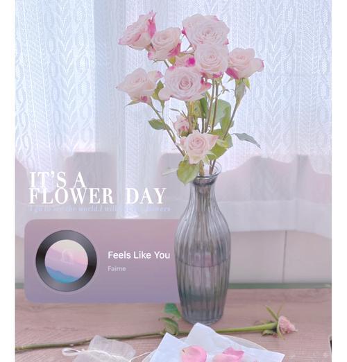 玫瑰花出现褶皱花瓣怎么办？如何恢复花瓣的平整？