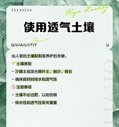 小型仙人掌的养殖方法和注意事项有哪些？