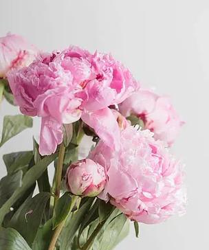 牡丹花放花瓶生根的正确方法是什么？