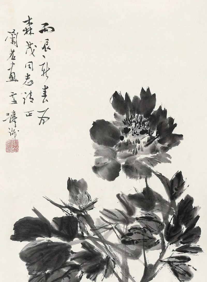 墨牡丹花的开花期是什么时候？结果期又如何？