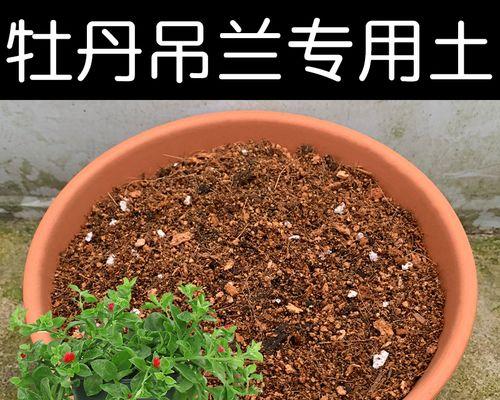 盆栽牡丹花应该使用哪种专用土？