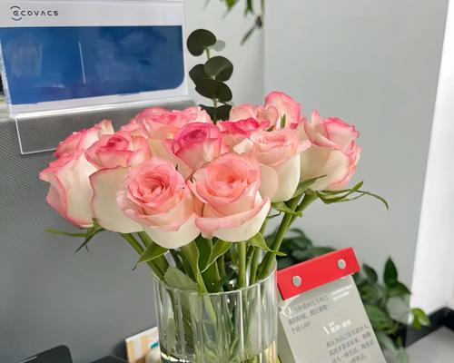 玫瑰花插瓶保鲜技巧有哪些？