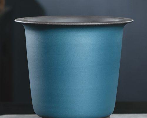 蓝色紫砂花盆适合栽种君子兰吗？如何正确养护？