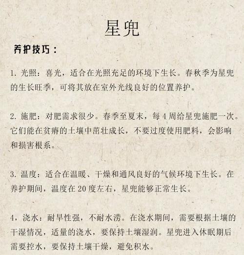 如何将仙人掌养得圆润美观？需要哪些养护技巧？