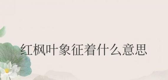 枫叶的花语是什么意思？它在不同场合的寓意有何不同？