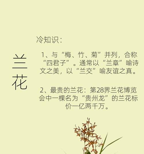 兰花的寓意与花语有何区别？兰花在花语中代表了什么？