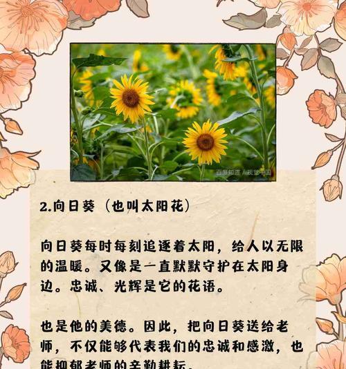 郁金香的花语有哪些特别短句？它们代表什么？