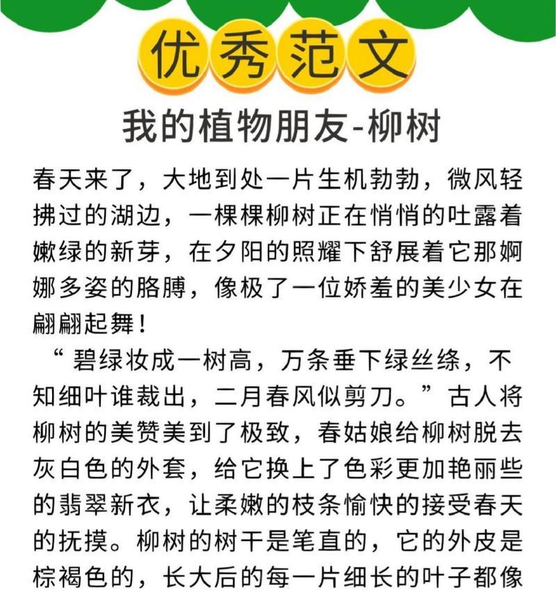 春天有哪些花开放？如何用语文作文描绘它们？
