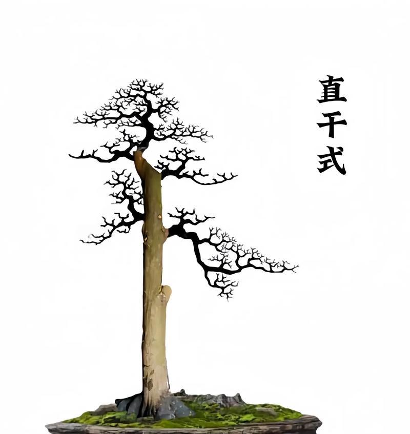 黑暗复仇的花语代表什么？它传递了怎样的信息？