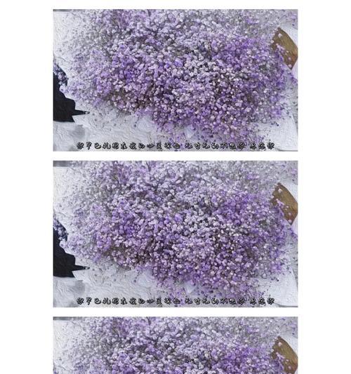 樱花花语旁白是什么意思啊？如何理解樱花花语旁白的含义？
