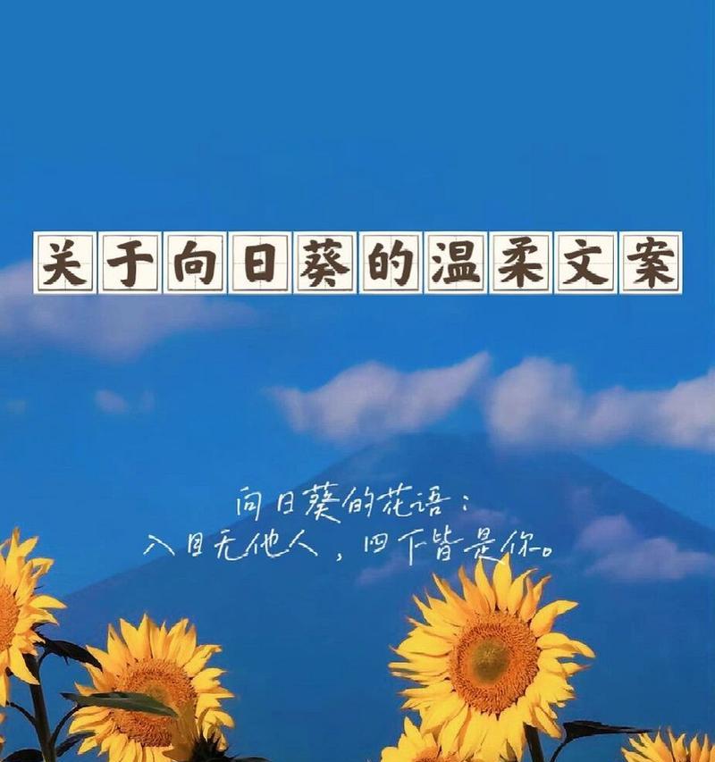 向日葵有哪些不同的花语品种？它们各自代表什么？
