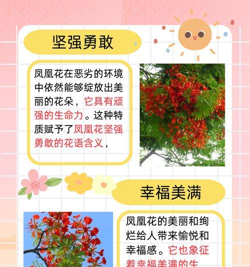 勇敢的花语是什么？哪种花象征着勇敢？