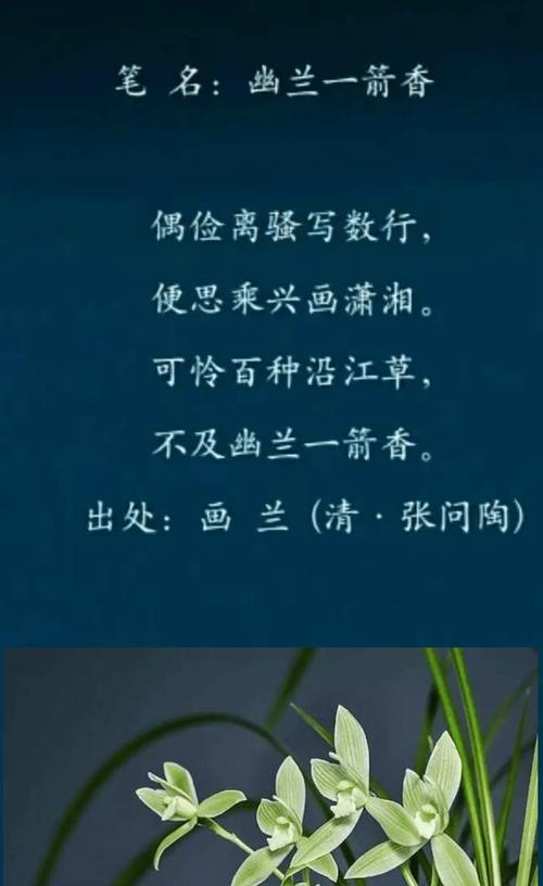 漓江兰花的花语含义是什么？漓江兰花代表什么花语？