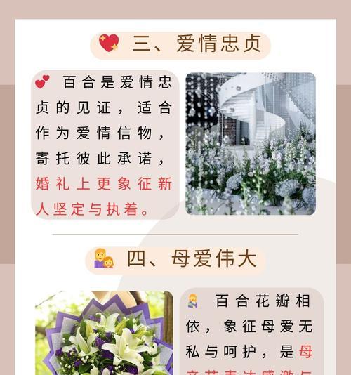 百合花传递的纯洁和爱意有哪些？