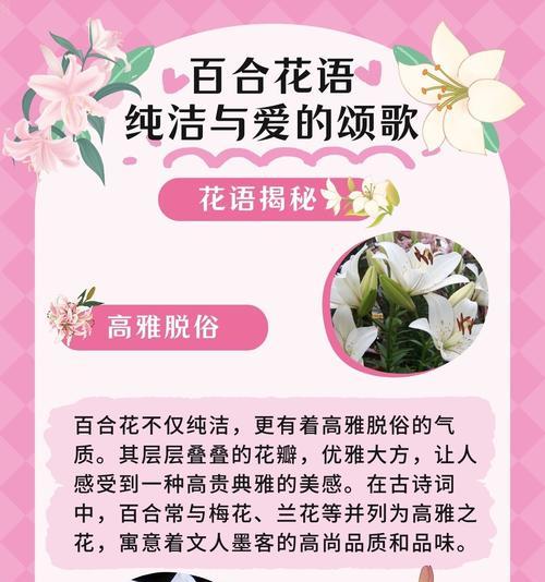 百合颜色混搭花语是什么？不同颜色百合组合的寓意何在？