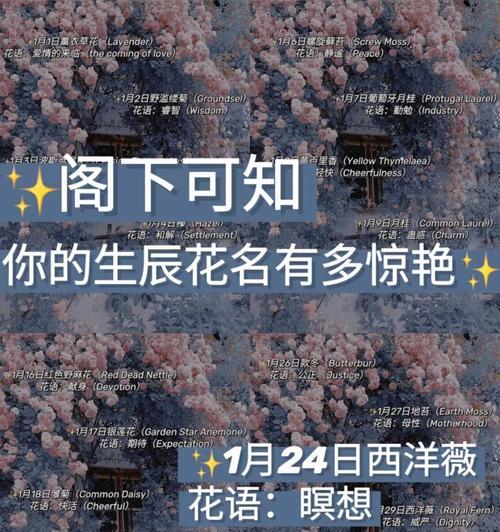 薰衣草类似花语的花是什么？有哪些花语相似的花卉推荐？