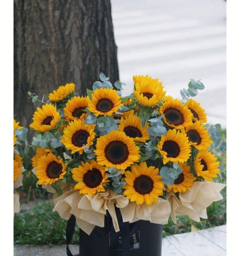 太阳花的花语id符号是什么？这种花语在文化中有何意义？