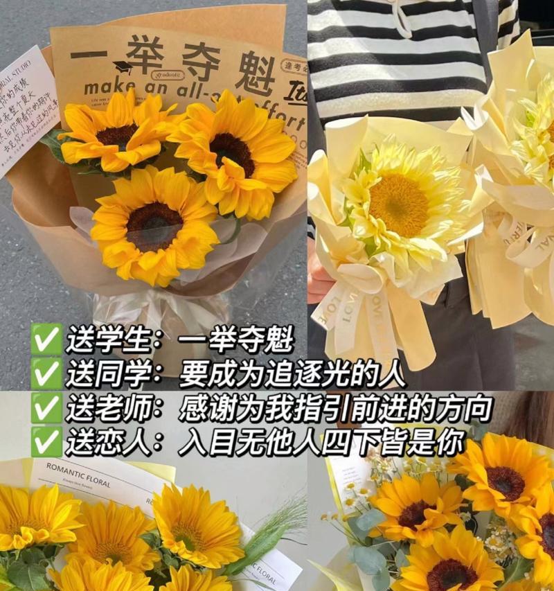 向日葵的花语有何寓意？