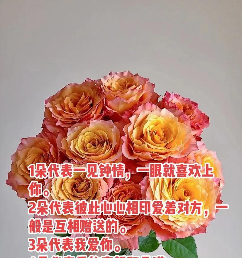 玫瑰花干相框9朵代表什么？9朵玫瑰的特别意义是什么？