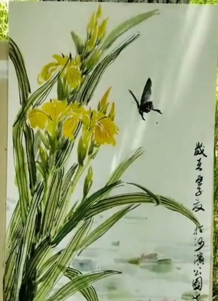 菖蒲的寓意与花语是否相同？