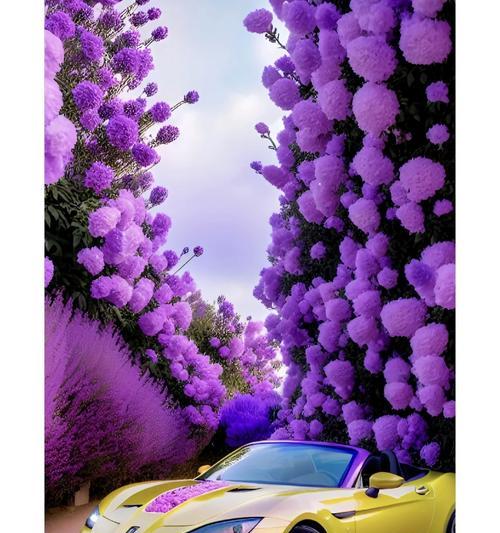 薰衣草球的寓意和花语是什么？