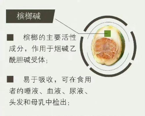 槟榔花语与健康有何关联？