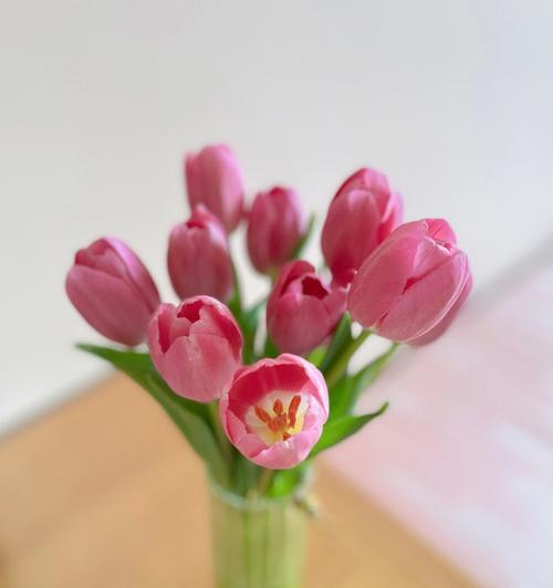 送花要带上花语吗？为什么花语景岸不能买？