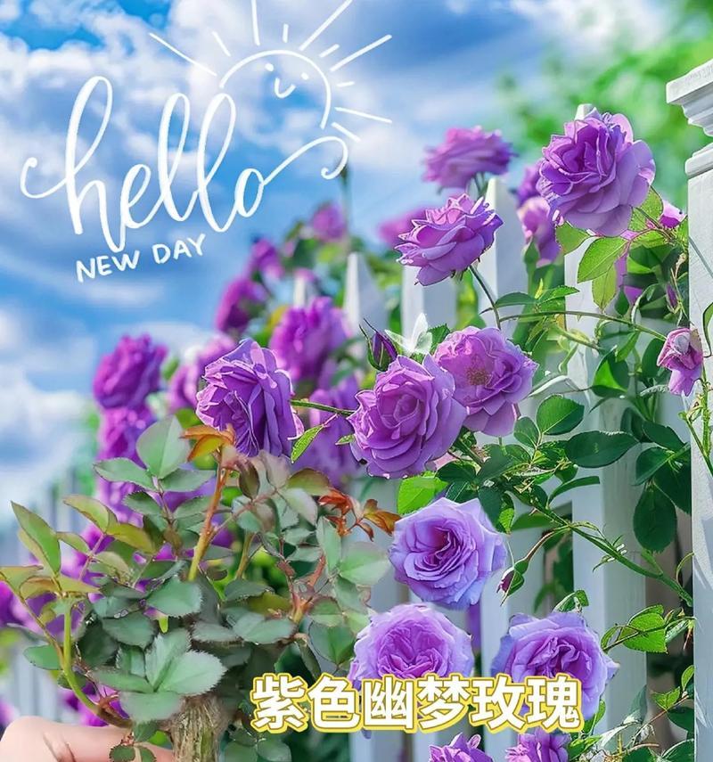破碎爱情的花语是什么？哪种花象征着破碎的爱？