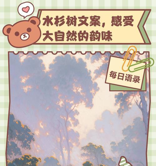 水杉的花语及其象征意义有哪些？