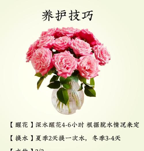 鲜花花草的花语通常表达什么？