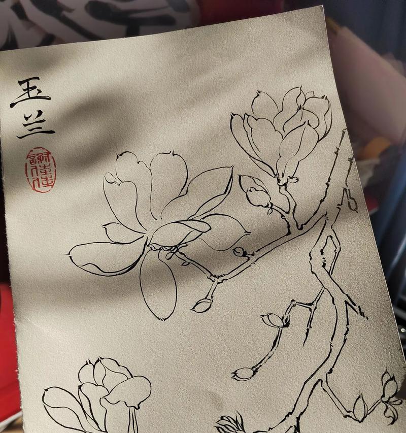 玉兰花珍贵花语代表什么？