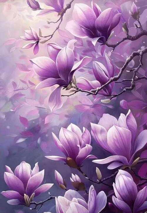 玉兰花珍贵花语代表什么？