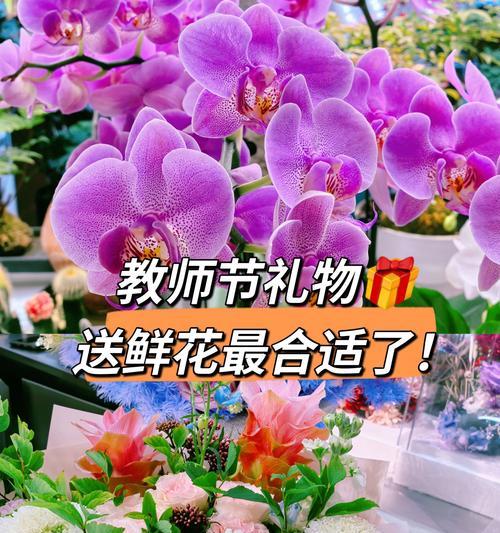 哪种花代表感激之情？