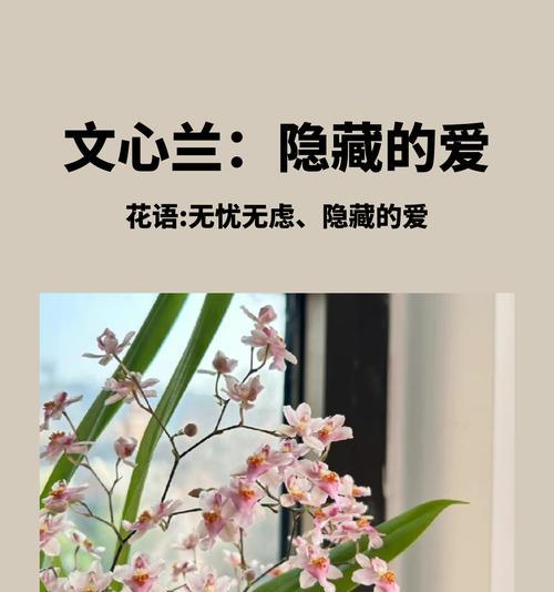 沉默且热烈的爱的花语是什么？哪种花能表达这种复杂情感？