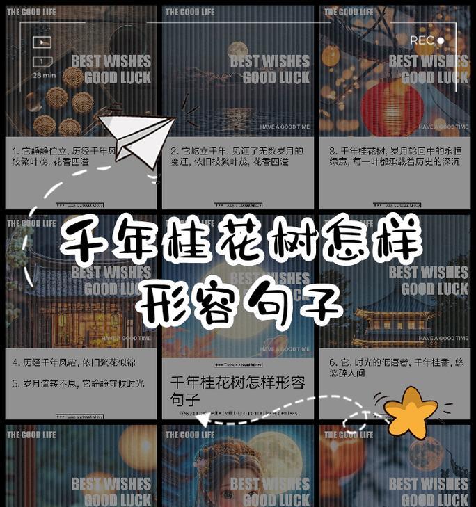 桂花语句扩充法是如何应用的？