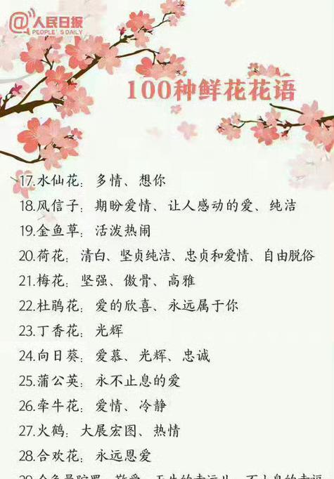 爱人送的花语通常表达什么情感？