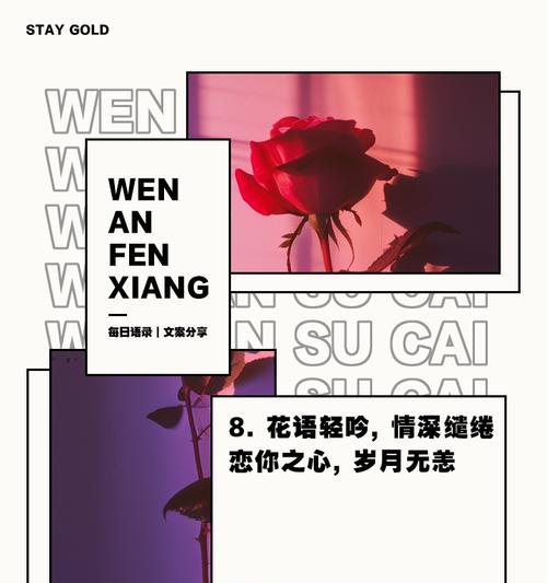 爱人送的花语通常表达什么情感？