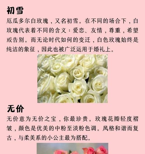 爱人送的花语通常表达什么情感？